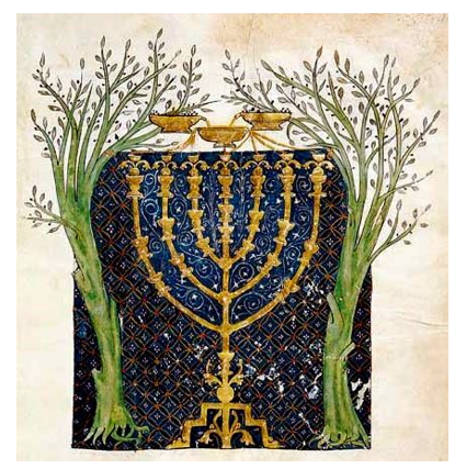 画像の説明 画像の説明