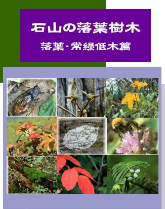 石山の樹木(落葉・常緑低木篇)PDFファィル表紙